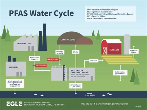 what are pfas in water